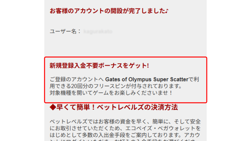 ベットレベルズからのメール②