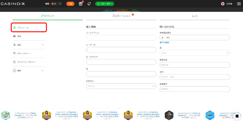 カジノエックスプロフィール入力