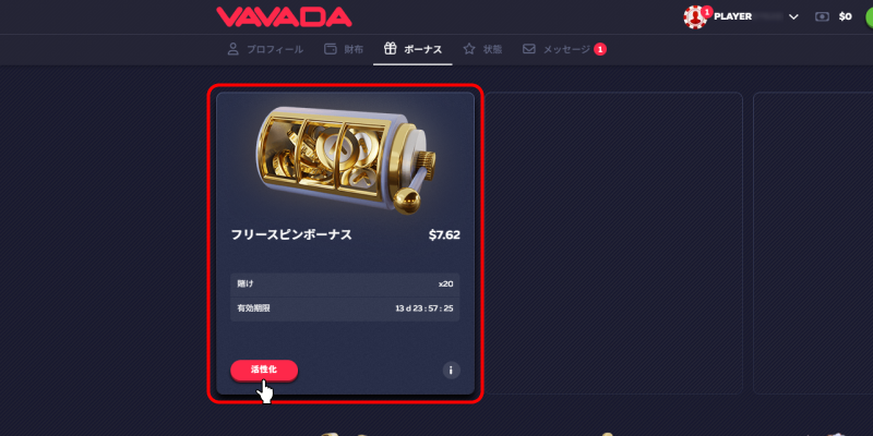 ババダカジノ入金不要ボーナス利用後
